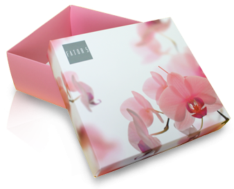 Caixa - Family Sweet Flower